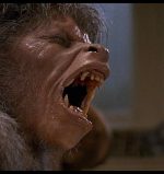 David's transformation begins in American Werewolf in London