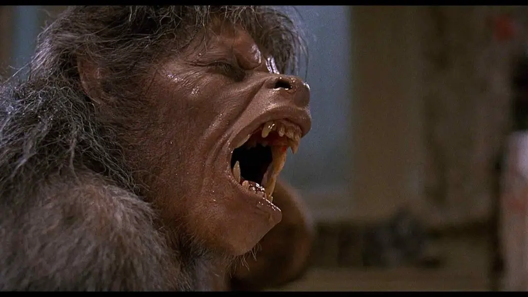 David's transformation begins in American Werewolf in London