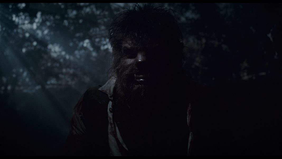 The Wolfman 2010